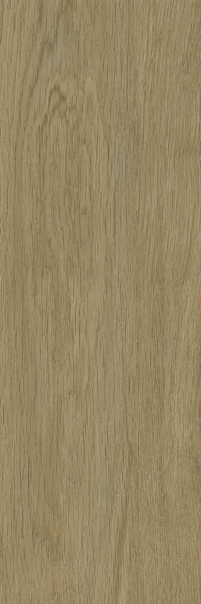 Paradyż Decorwood Honey 20x60