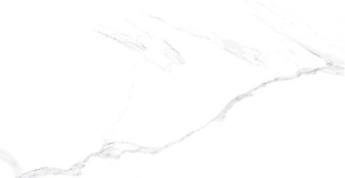Carrara Blanco Poler 60X120