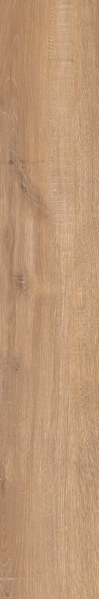 Epicentr Newcastle Gold 19,8x120