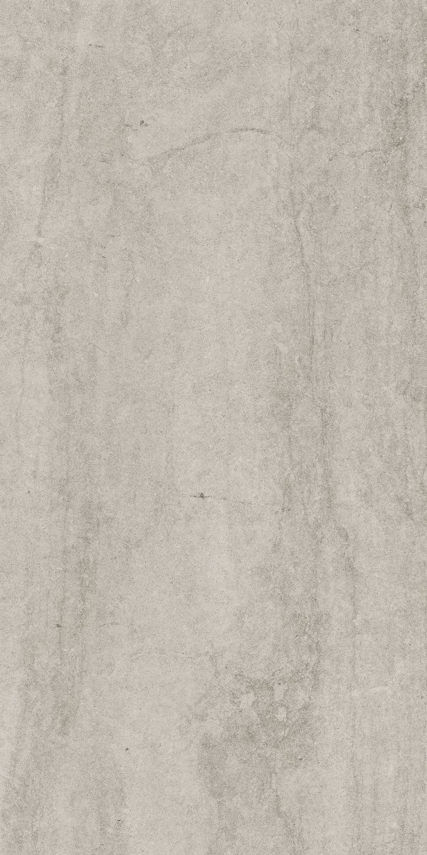 Cerrad Dignity Light Grey 119,7x59,7