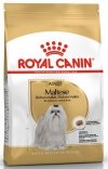 Royal Canin Maltese Adult karma sucha dla psów dorosłych rasy maltańczyk 500g