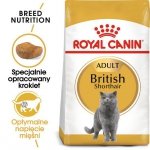 Royal Canin British Shorthair Adult karma sucha dla kotów dorosłych rasy brytyjski krótkowłosy 10kg