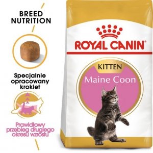 Royal Canin Maine Coon Kitten karma sucha dla kociąt, do 15 miesiąca, rasy maine coon 2kg