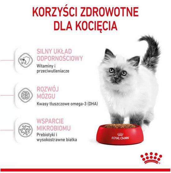 Royal Canin Kitten karma sucha dla kociąt od 4 do 12 miesiąca życia 2kg