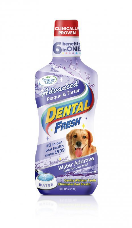 Dental Fresh Kamień i Osad dla psów i kotów