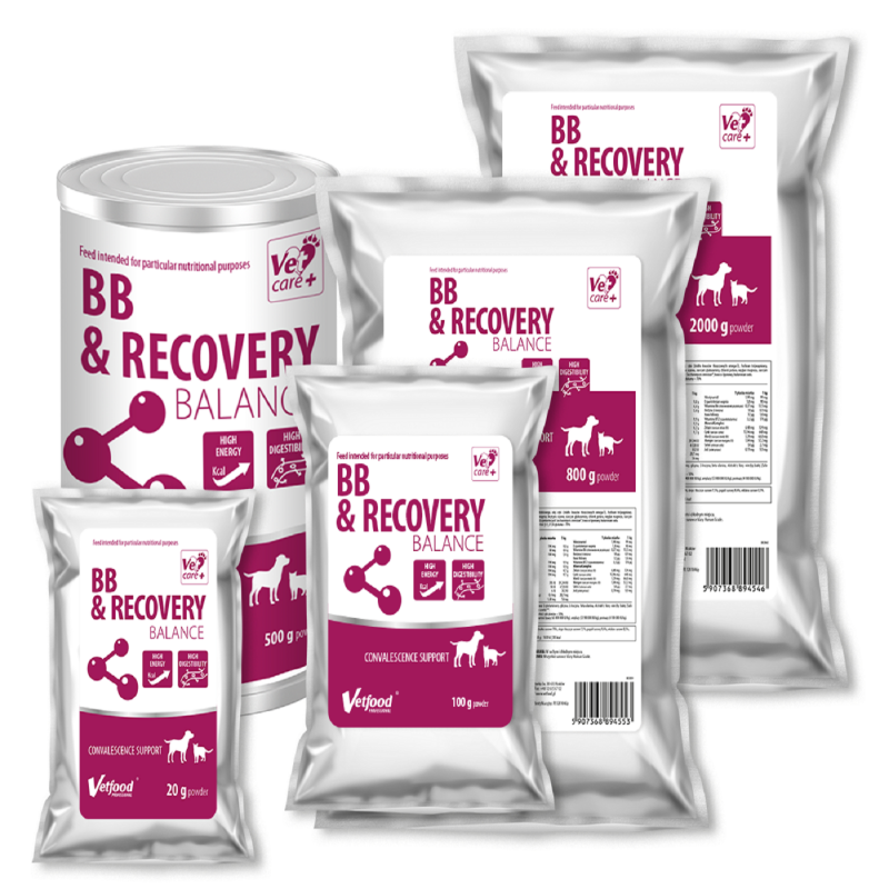 BB &amp; Recovery Balance - Odżywka białkowa