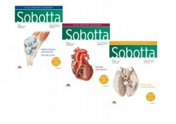  anatomii człowieka Sobotta Tom 1-3 Łacińskie mianownictwo wyd. ~ 2024