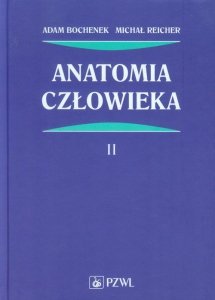 Anatomia człowieka Tom 2