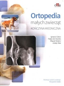 Ortopedia małych zwierząt. Kończyna miednicza 