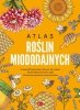 Atlas roślin miododajnych 