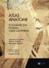 Atlas anatomii 