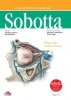 Atlas anatomii człowieka Sobotta. Angielskie mianownictwo. Tom 3. 