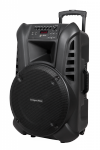Aktywna kolumna głośnikowa (z 2 mikrofonami bezprzewodowymi UHF, SD, Bluetooth, FM, USB) 60 Watt