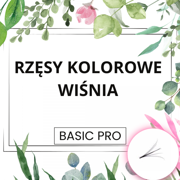 BasicPro 3D , 5D , 8D 0,07 - Rzęsy Kolorowe WIŚNIA