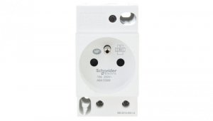 Gniazdo modułowe 2P+Z 16A 250V na szynę iPC A9A15306