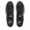 Nike Court Royale 2 Herrenschuhe Schwarz CQ9246-001