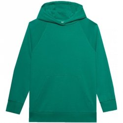 Bluza damska 4F F0955 zielona 4FWSS24TSWSF0955 41S M