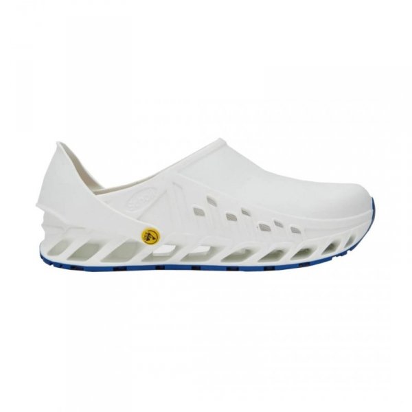 Buty Evoflex marki Scholl