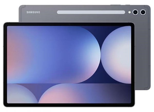 Samsung S10+ 512 GB 31,5 cm (12.4&quot;) 12 GB Android 14 Szary