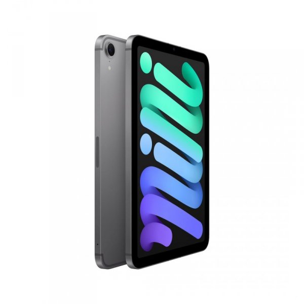 Apple iPad mini 5G TD-LTE & FDD-LTE 128 GB 21,1 cm (8.3&quot;) Wi-Fi 6E (802.11ax) iPadOS 18 Szary
