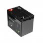 GREEN CELL AKUMULATOR LIFEPO4 CAV11 12/12,8V 60AH 768WH / M8 