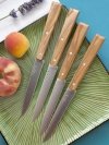Opinel Zestaw Noży Stołowych Bon Apetite! Olive