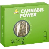 Inkospor Cannabis Power zestaw batonów (nasiona konopii) - 3x25g