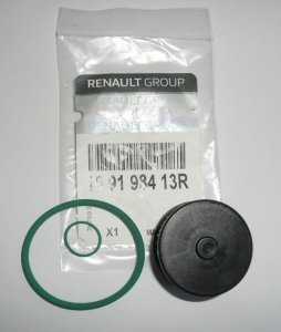 $ Filtre à gaz d'origine pour Renault Clio, Kangoo, 169198413R