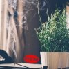 Zapalone kadzidełko HEM na drewnianej podstawce w przyjemnej domowej scenerii