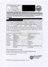 Palo Santo drewienka z peru 50g