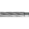 Wiertlo rdzeniowe HKE-L Weldon wegl.b.dlugie,24/110 mm BDS