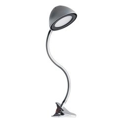 RONI LED SILVER CLIP