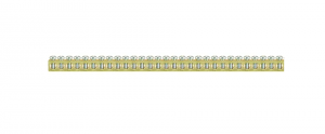 Listwa zaciskowa E.4051-10P Pawbol