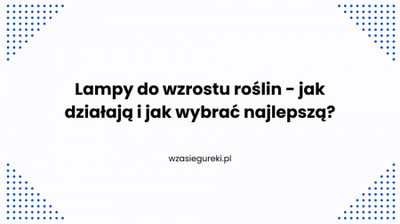 wZasieguReki