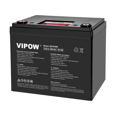 Akumulator LiFePO4 100Ah z BMS