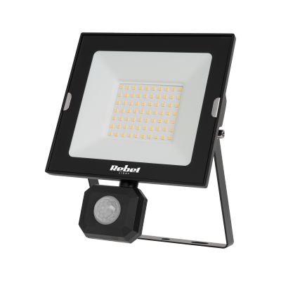 Reflektor LED 50W z sensorem zmierzchu i ruchu, 4000K, 230V
