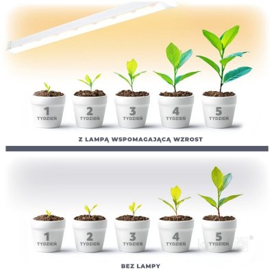 Lampa do roślin LED GROWLY 9W Kobi Design
