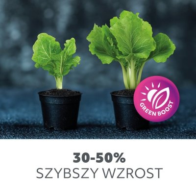 Lampa do roślin LED VITARO 3 CLIP 10W Kobi Design