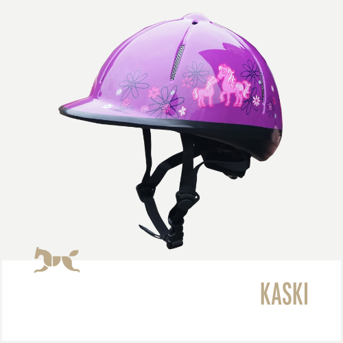 Kaski