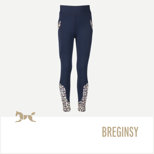 Breginsy