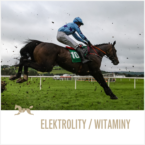 Elektrolity i witaminy