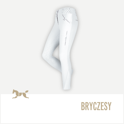 BRYCZESY