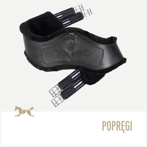 Popręgi