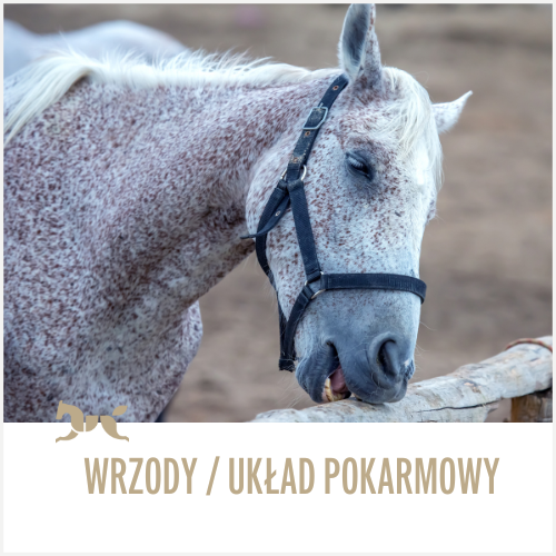 Wrzody i układ pokarmowy
