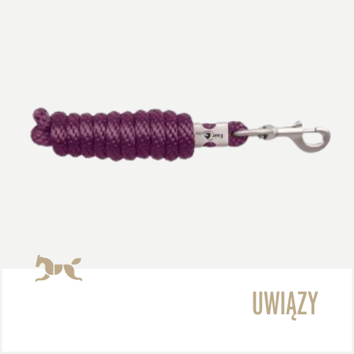 Uwiązy