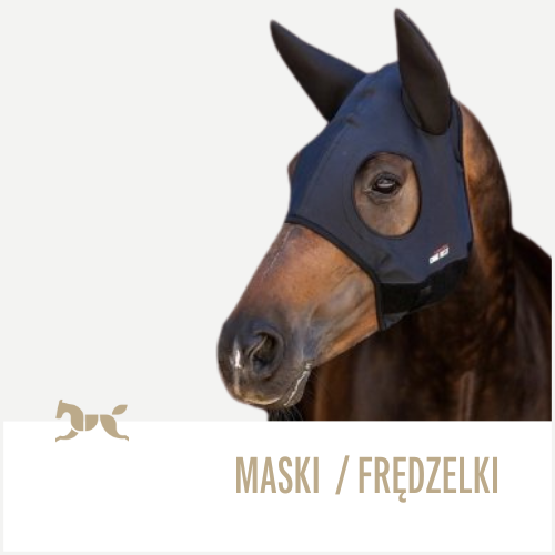 MASKI I FRĘDZELKI