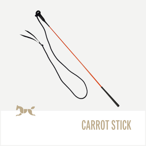 Carrot stick