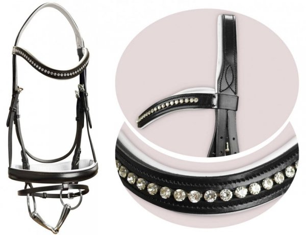 Ogłowie York Gloria