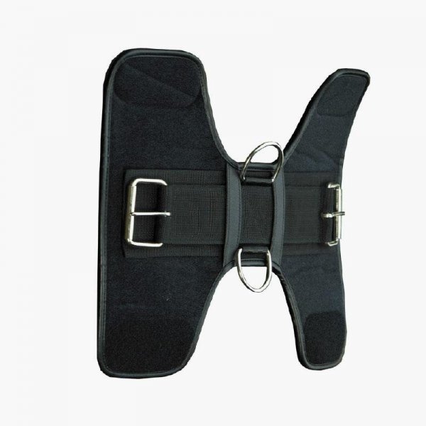 Pas do lonżowania Felix Brasseur czar.L