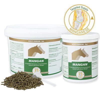 VERTRIPHARM Equipur Mangan P 800g